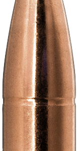 Norma kula .30 9,7g FJPBT