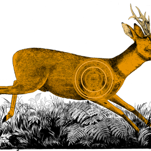 Råbock löpande höger papper