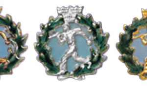 Tvågrensmärke högre årtal